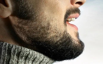 Nissan Voice Control