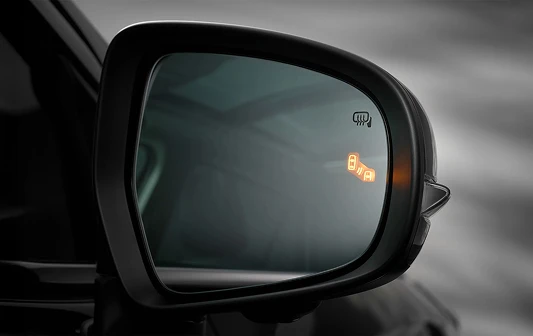 Blind Spot Monitor